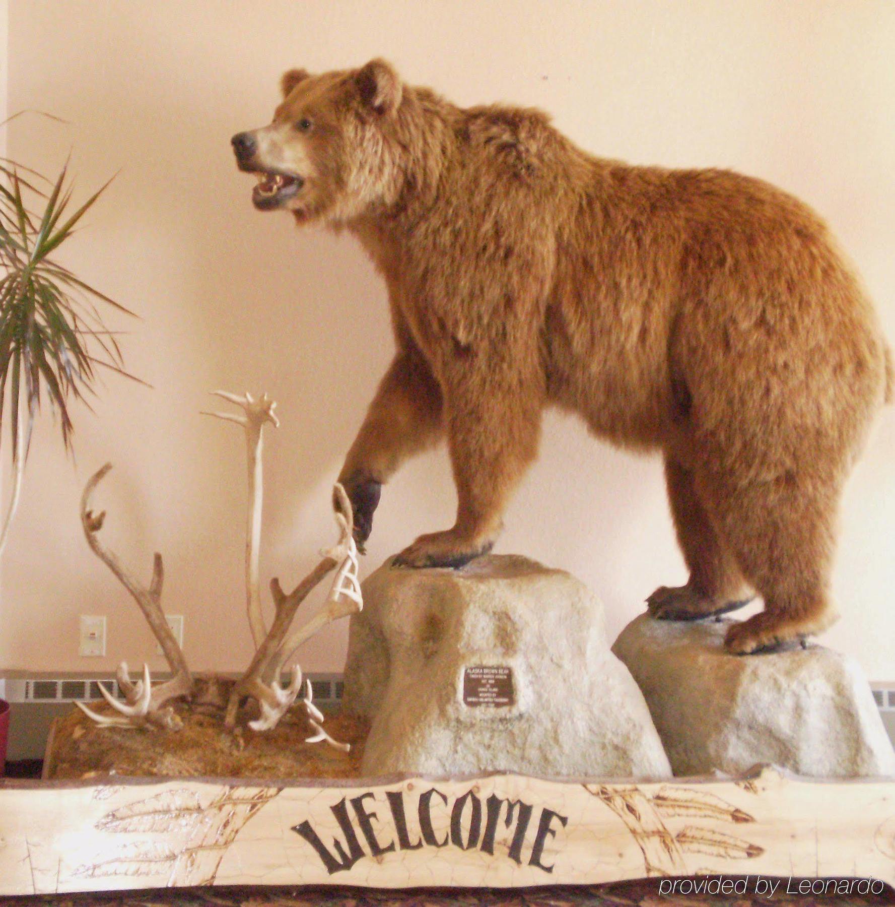 Kenai Airport Hotel Exteriör bild